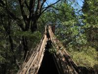 Lynn, Marc, Gérard visitent site Amérindien